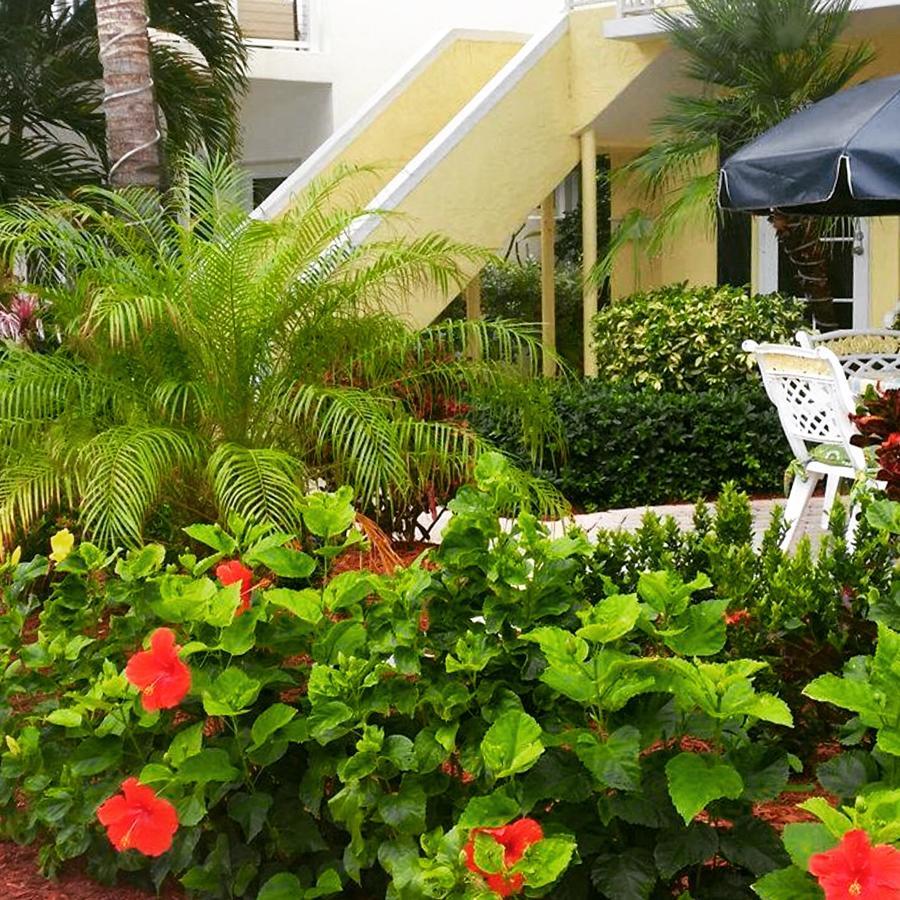 Locanda Sea Spray Lauderdale-by-the-Sea